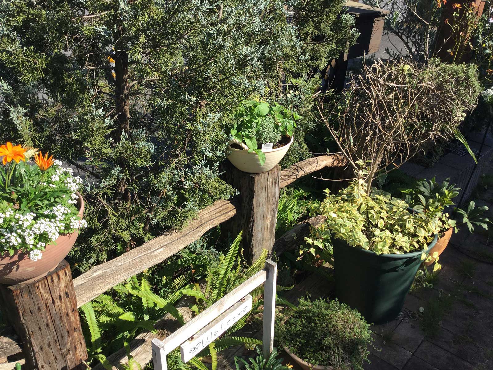 富増+ | tomimasuplus