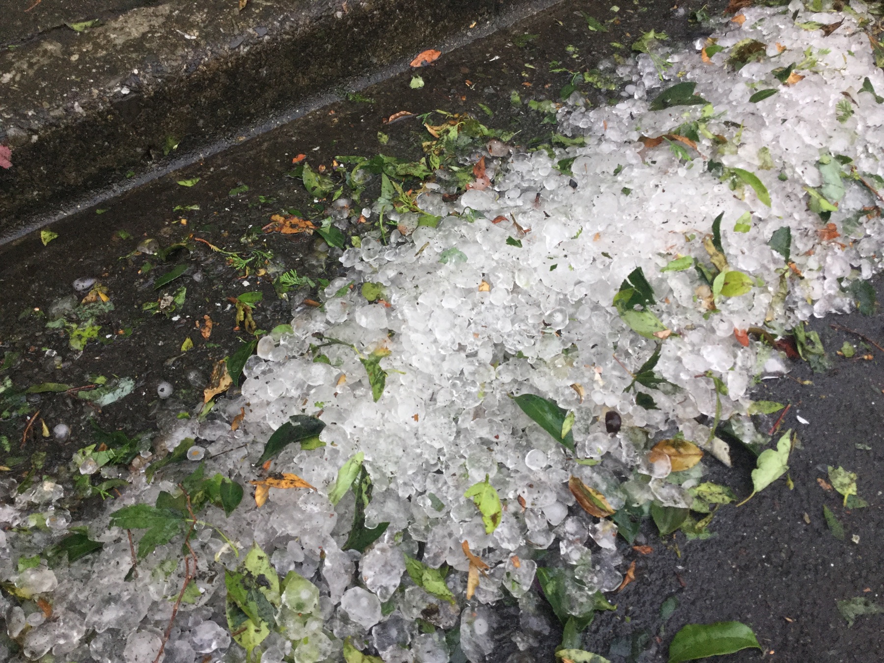 富増+ | tomimasuplus