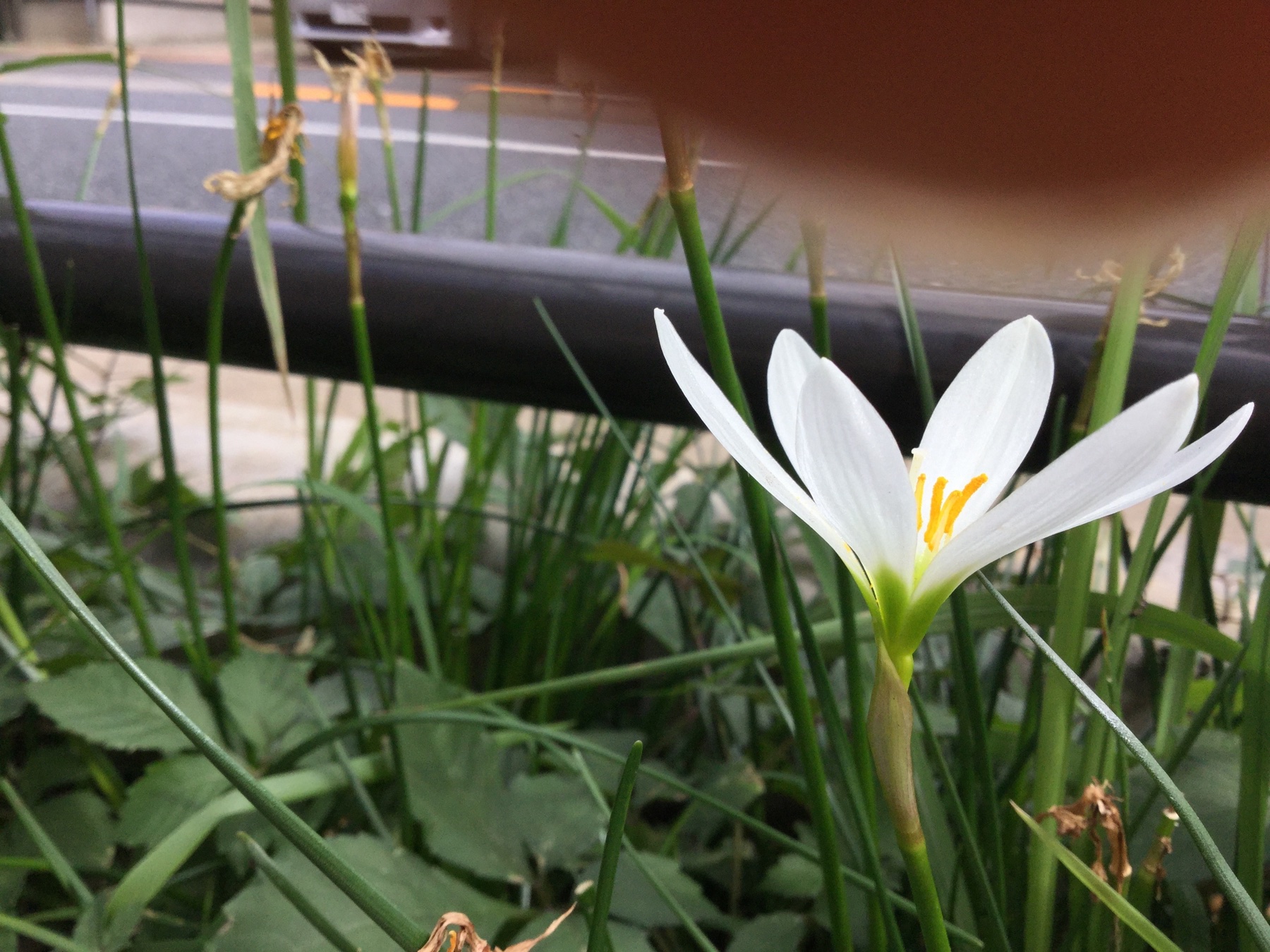 富増+ | tomimasuplus